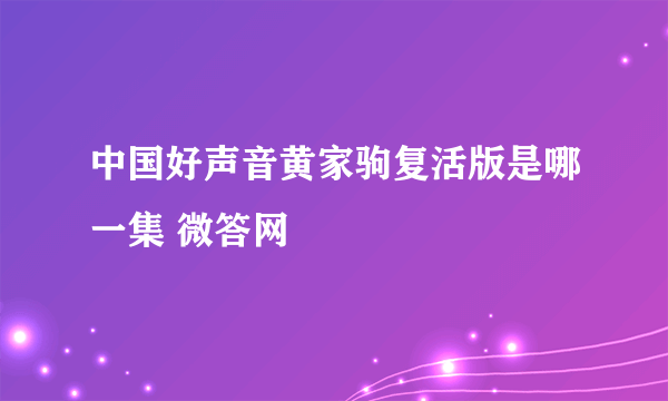 中国好声音黄家驹复活版是哪一集 微答网