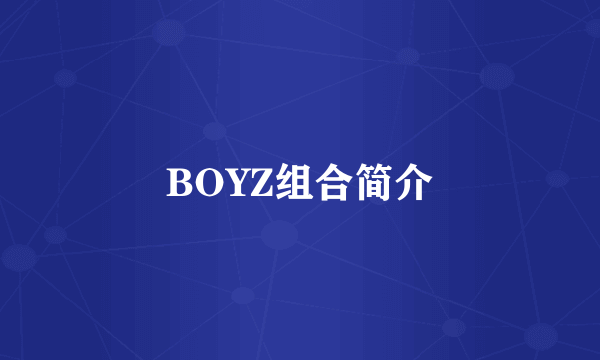 BOYZ组合简介