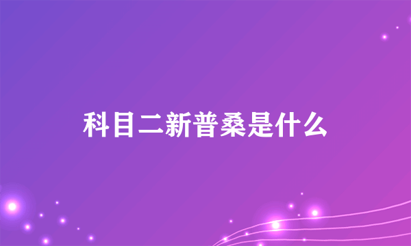 科目二新普桑是什么