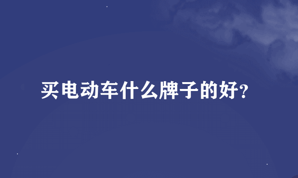 买电动车什么牌子的好？