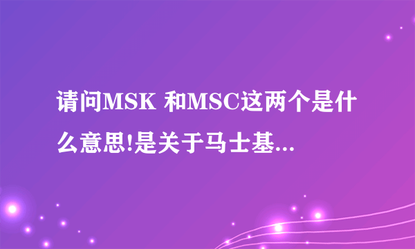 请问MSK 和MSC这两个是什么意思!是关于马士基船公司的!