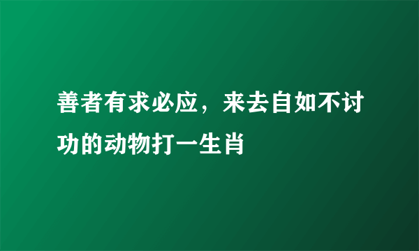 善者有求必应，来去自如不讨功的动物打一生肖