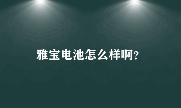 雅宝电池怎么样啊？