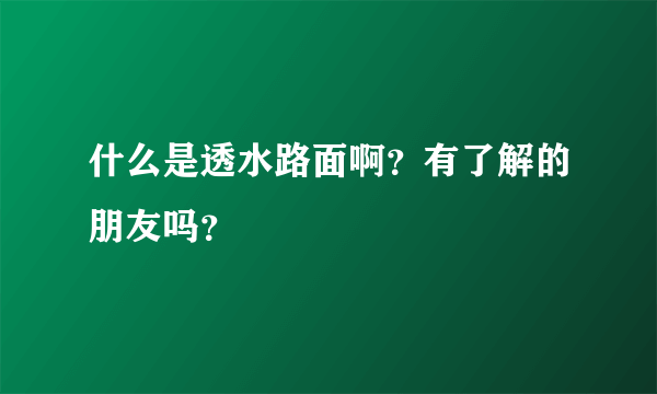 什么是透水路面啊？有了解的朋友吗？