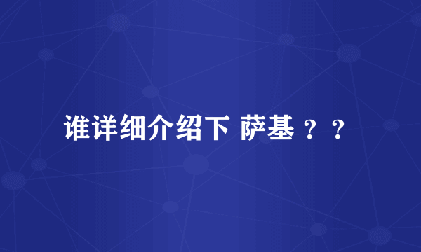 谁详细介绍下 萨基 ？？