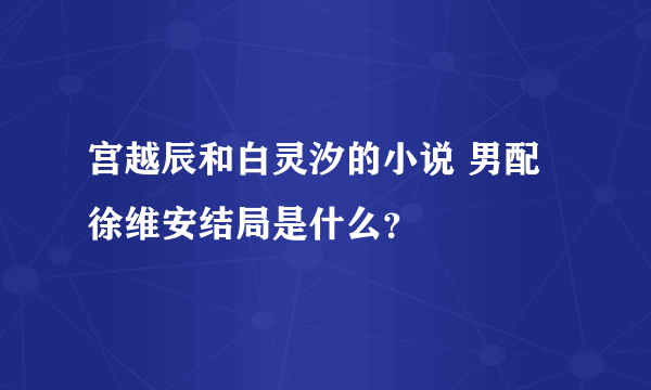 宫越辰和白灵汐的小说 男配徐维安结局是什么？