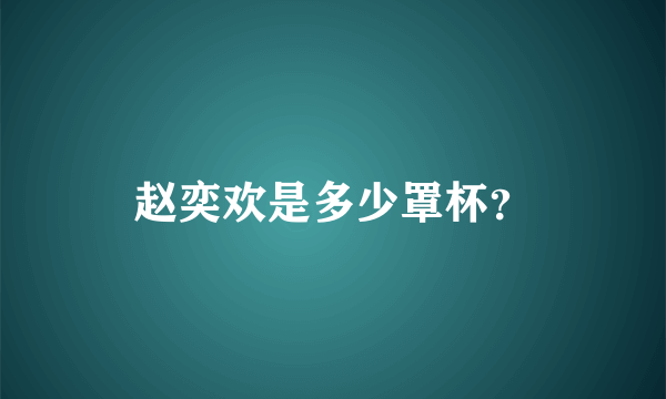 赵奕欢是多少罩杯？