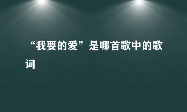 “我要的爱”是哪首歌中的歌词