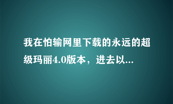 我在怕输网里下载的永远的超级玛丽4.0版本，进去以后怎样才能打开自制关卡的画面？跪求大师们帮帮我！