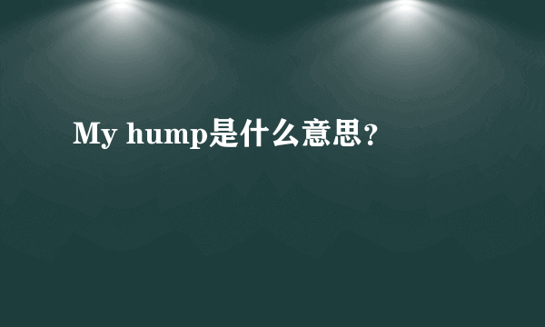 My hump是什么意思？