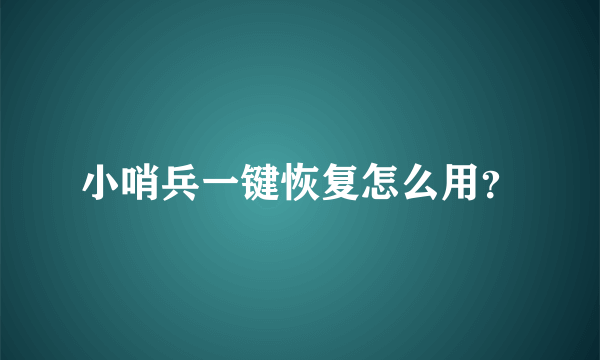 小哨兵一键恢复怎么用？