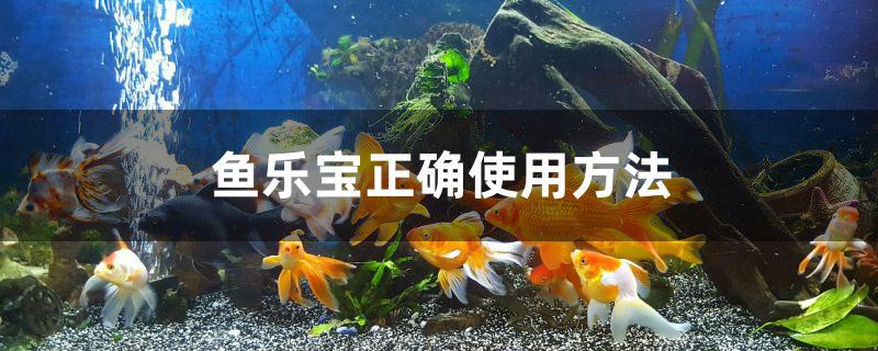 鱼乐宝正确使用方法