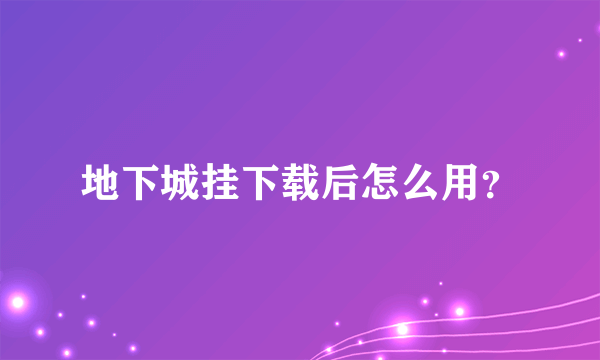 地下城挂下载后怎么用？