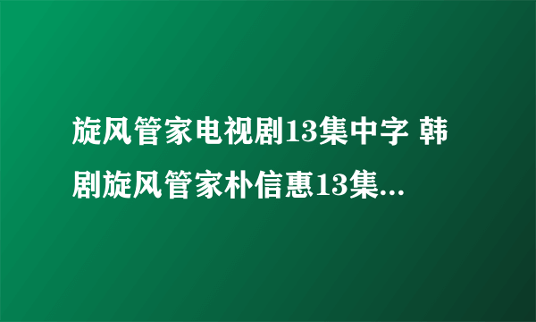 旋风管家电视剧13集中字 韩剧旋风管家朴信惠13集 旋风管家台剧14集下载