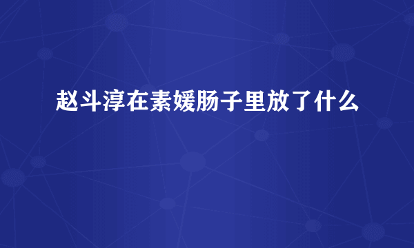 赵斗淳在素媛肠子里放了什么