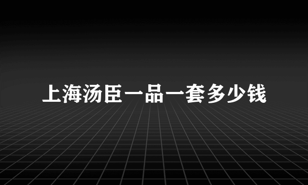 上海汤臣一品一套多少钱