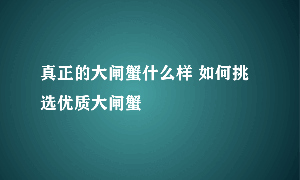 真正的大闸蟹什么样 如何挑选优质大闸蟹