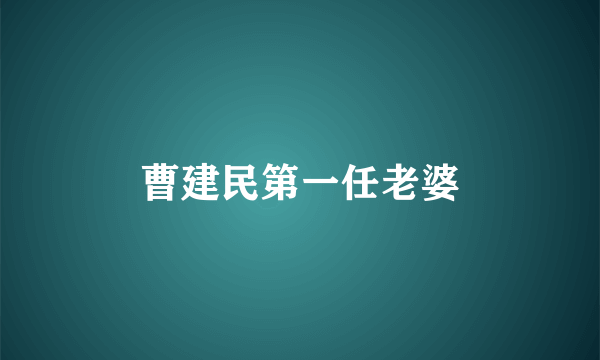 曹建民第一任老婆