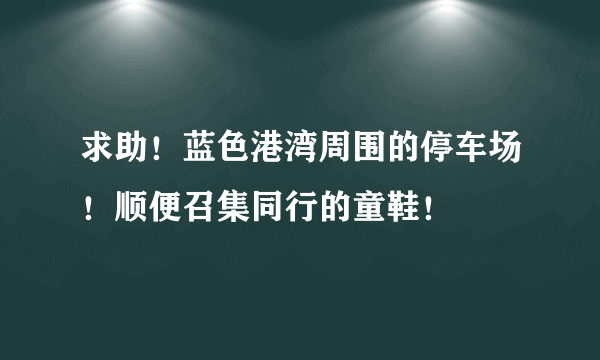 求助！蓝色港湾周围的停车场！顺便召集同行的童鞋！