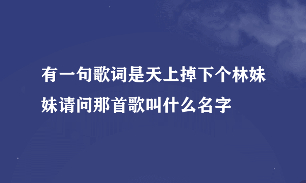 有一句歌词是天上掉下个林妹妹请问那首歌叫什么名字