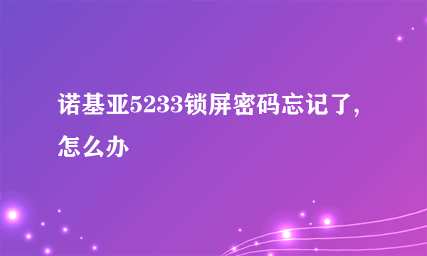 诺基亚5233锁屏密码忘记了,怎么办