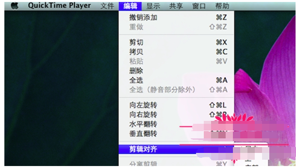 quicktime player 是做什么的,怎么使用