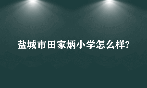 盐城市田家炳小学怎么样?