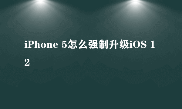 iPhone 5怎么强制升级iOS 12