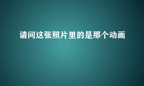 请问这张照片里的是那个动画