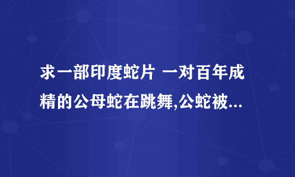 求一部印度蛇片 一对百年成精的公母蛇在跳舞,公蛇被六个好朋友的一个枪杀了,母蛇就从公蛇眼里看到那六个人