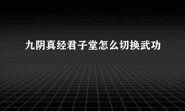 九阴真经君子堂怎么切换武功