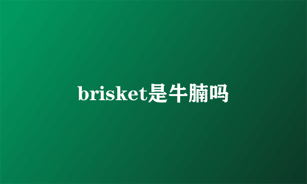 brisket是牛腩吗