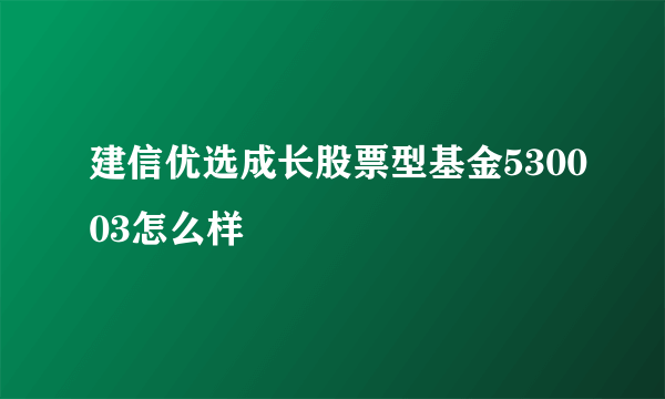 建信优选成长股票型基金530003怎么样