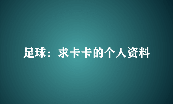 足球：求卡卡的个人资料