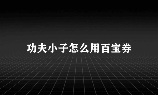 功夫小子怎么用百宝券