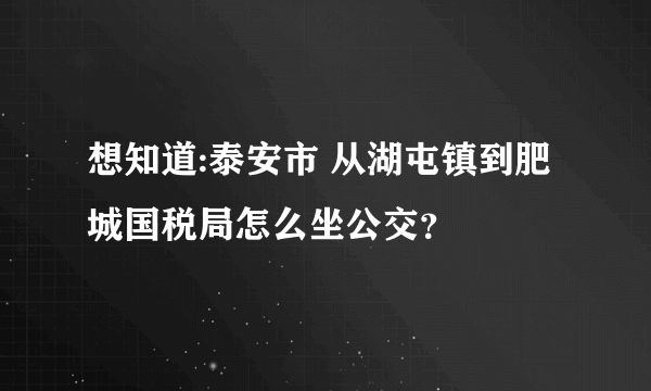 想知道:泰安市 从湖屯镇到肥城国税局怎么坐公交？