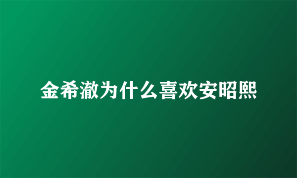 金希澈为什么喜欢安昭熙