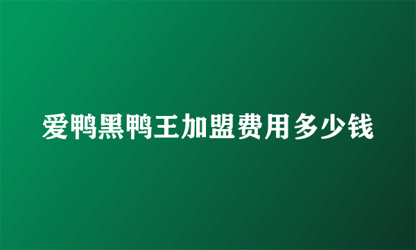 爱鸭黑鸭王加盟费用多少钱