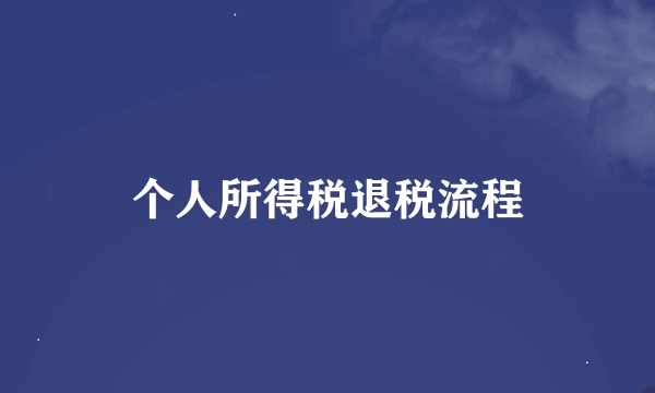 个人所得税退税流程