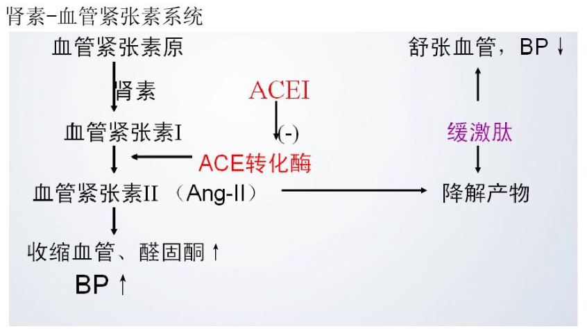 RAS系统是什么？