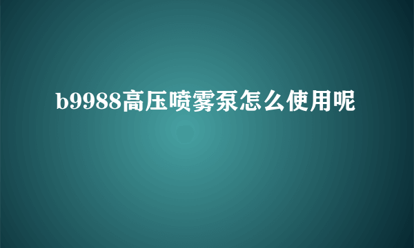 b9988高压喷雾泵怎么使用呢