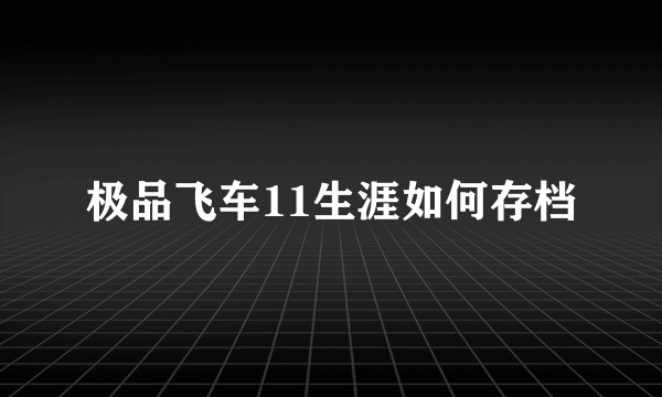 极品飞车11生涯如何存档