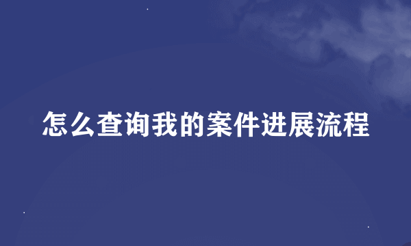 怎么查询我的案件进展流程