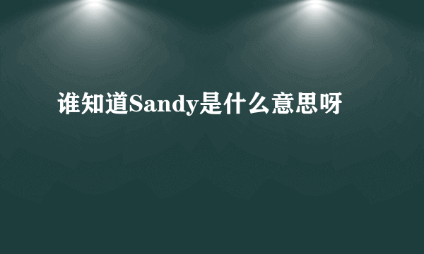 谁知道Sandy是什么意思呀