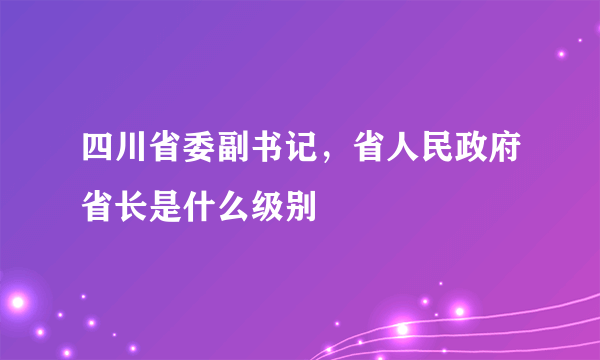 四川省委副书记，省人民政府省长是什么级别