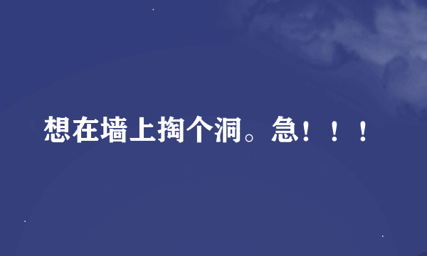 想在墙上掏个洞。急！！！