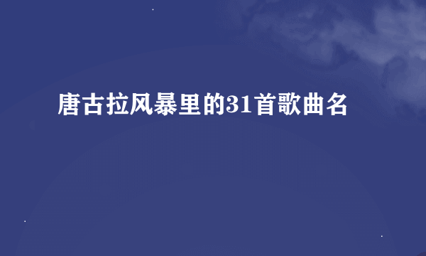 唐古拉风暴里的31首歌曲名