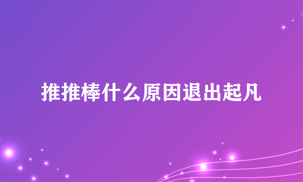 推推棒什么原因退出起凡