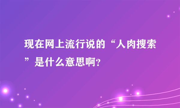 现在网上流行说的“人肉搜索”是什么意思啊？