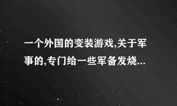 一个外国的变装游戏,关于军事的,专门给一些军备发烧友来YY的,好像是I开头,请问是什么